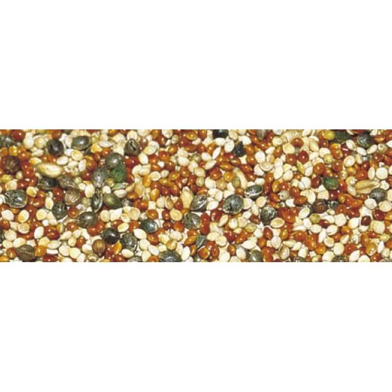 Partiklová zmes STARBAITS Party Blend 3kg