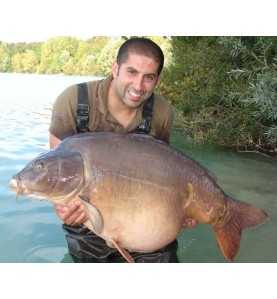 Háčik Korda Kaptor Wide Gape Hnedá bez protihrotu