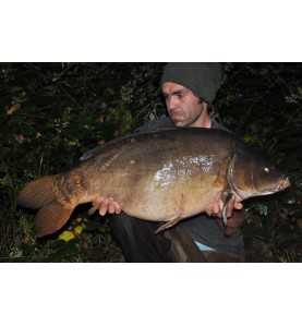 Háčik Korda Kaptor Wide Gape Zelená s protihrotom