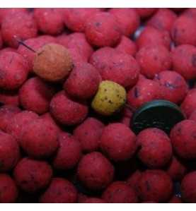 LK baits Mini Boilies Wild Strawberry 12mm 500g