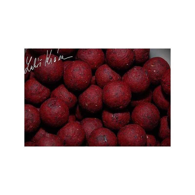 LK Baits Euro Economic Spice Shrimp - boilies 18mm