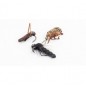 Nash Zig Bugs Naturals Hatch 2 / barbless / 3ks