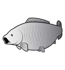Delphin Nálepka kapor SILVER