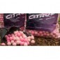 Nash Citruz Special Edition Boilies 1kg