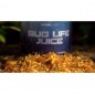 Nash Bug Life Juice 125ml