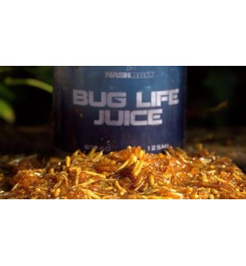 Nash Bug Life Juice 125ml