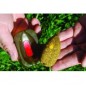Method Feeder Extra Carp - CLAY 20g