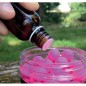 Starbaits Dropper Fruty Mix 30ml