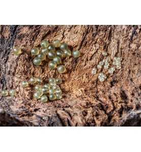 EXTRA CARP RUBBER BEADS 8MM