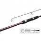 Prút Delphin ETNA CARP next generation / 2 diely