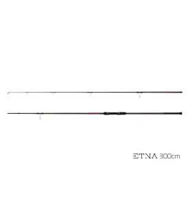 Prút Delphin ETNA CARP next generation / 2 diely
