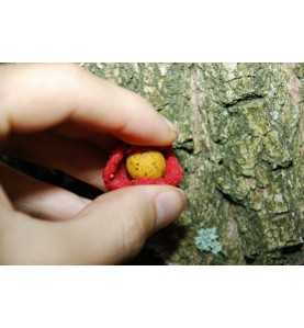 LK Baits Boilie Paste 250g Purple Plum