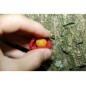 LK Baits Boilie Paste 250g Black Protein