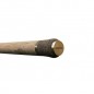 Prút Delphin ARMADA CARP BlackWay / 2 diely 300cm/ 2.50lbs