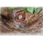 Šnúrka Extracarp Herculine 15lb - 20m