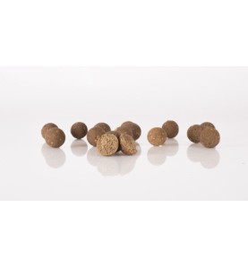 Nash Booilie Scopex & Squid stabilised Boilies 5kg