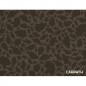 Delphin Area BITE Carpath Delphin Area BITE Carpath