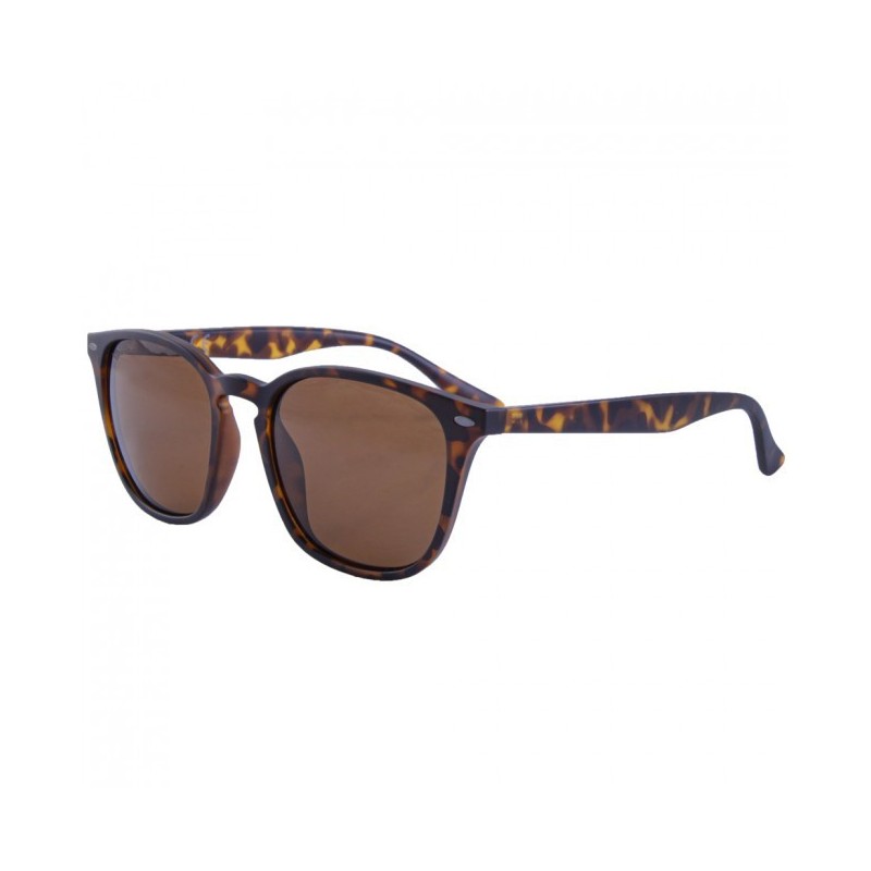 Korda Okuliare Shoreditch Matt Tortoise Shell/ Brown Lens