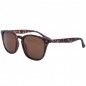 Korda Okuliare Shoreditch Matt Tortoise Shell/ Brown Lens