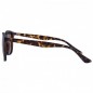 Korda Okuliare Shoreditch Matt Tortoise Shell/ Brown Lens