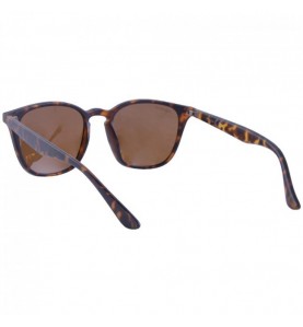 Korda Okuliare Shoreditch Matt Tortoise Shell/ Brown Lens