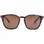 Korda Okuliare Shoreditch Matt Tortoise Shell/ Brown Lens