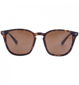 Korda Okuliare Shoreditch Matt Tortoise Shell/ Brown Lens