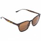 Korda Okuliare Shoreditch Matt Tortoise Shell/ Brown Lens