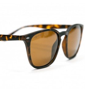 Korda Okuliare Shoreditch Matt Tortoise Shell/ Brown Lens