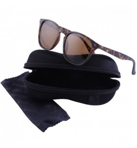 Korda Okuliare Shoreditch Matt Tortoise Shell/ Brown Lens