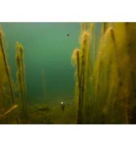 Fox Edges Zig Float Kit