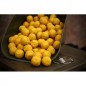 Nikl Kŕmne boilies Massive Feed Bird food - Pineapple 5kg