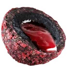 LK Baits Nutrigo Bloodworm 800g
