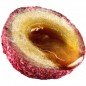 LK Baits Nutrigo Plumberry 800g