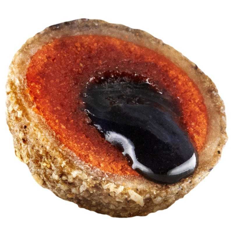 LK Baits Nutrigo Plankton 800g