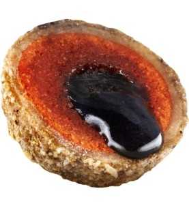 LK Baits Nutrigo Plankton 800g