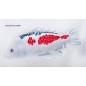 Vankúš Gaby Plyšová Ryba The KOI Carp Kapor 60cm