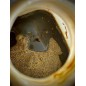 LK Baits Nutrigo Balanc Monster Crab 200ml, 24 mm