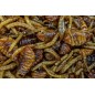 My-Baits Destruction Insects 1,5 litra