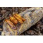 My-Baits Destruction Insects 1,5 litra