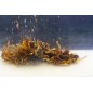 My-Baits Destruction Insects 1,5 litra