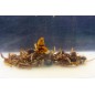My-Baits Destruction Insects 1,5 litra