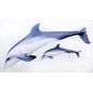 Vankúš Gaby Plyšová Ryba Delfín GIANT 125cm