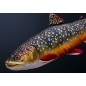 Vankúš Gaby Plyšová Ryba Trout Brook Sivoň Americký Mini 35cm