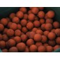 Carp Only Salmon Losos Boilies 1kg