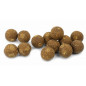 Nikl Ready Hotové Boilies Food Signal Evolution