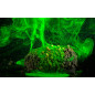 NOVÁKFEEDER World Class Method Aroma Spray FLUO 50ml