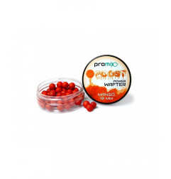 Promix Goost Power Wafters Mango 20g