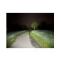 HOLDCARP Čelová lampa SuperBright G&W Headlamp