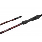 Delphin Kaprový prút ETNA LEGEND4RY 3,6m 3,0lbs 2-diely